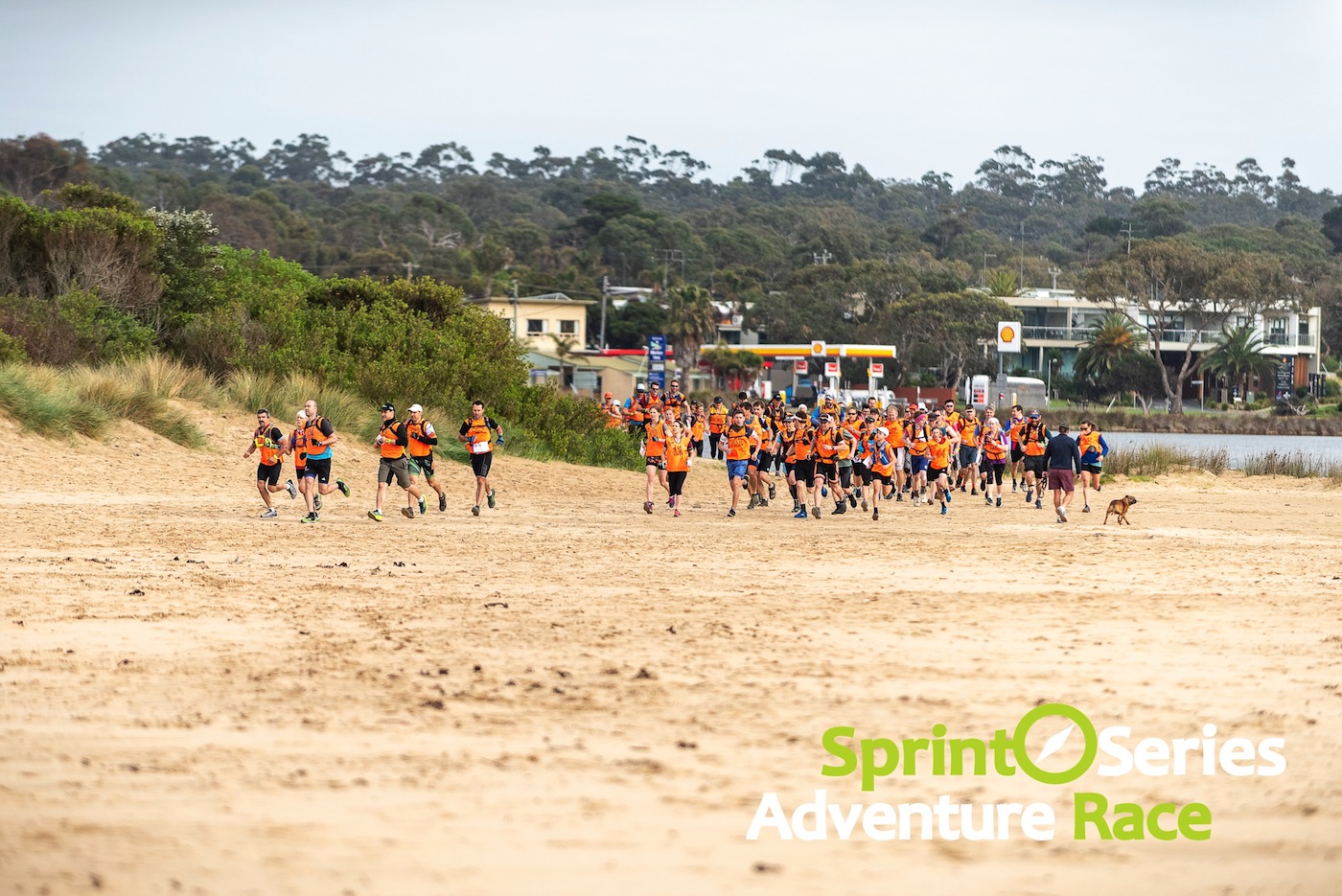 sprint series adventure race mass start on the beach